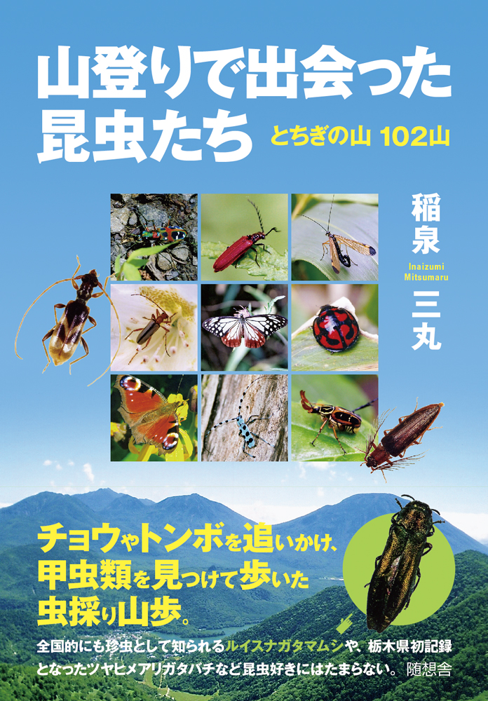 山登りで出会った昆虫たち